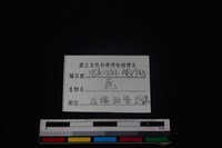梅花鹿骨藏品圖，第3張