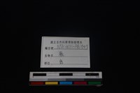 梅花鹿骨藏品圖，第3張
