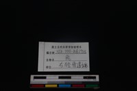 梅花鹿骨藏品圖，第3張