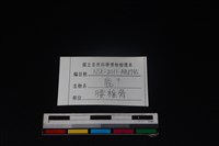 梅花鹿骨藏品圖，第3張