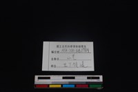 山羌骨藏品圖，第3張