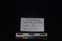 獐骨藏品圖，第4張