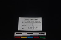 山羌骨藏品圖，第3張