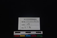 山羌骨藏品圖，第4張