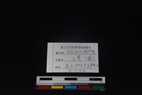 山羌骨藏品圖，第4張