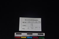 獐骨藏品圖，第4張