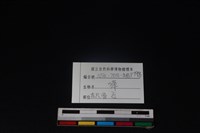 獐骨藏品圖，第3張