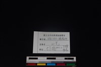 山羌骨藏品圖，第3張