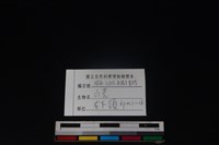 山羌骨藏品圖，第3張
