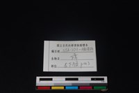 獐骨藏品圖，第3張