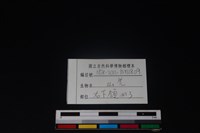 山羌骨藏品圖，第3張
