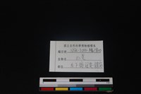 山羌骨藏品圖，第3張