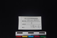 山羌骨藏品圖，第3張
