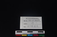獐骨藏品圖，第3張