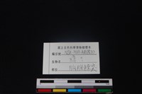 獐骨藏品圖，第3張
