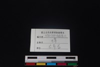 獐骨藏品圖，第3張