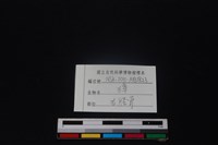 獐骨藏品圖，第3張