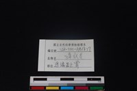 鹿科骨藏品圖，第3張