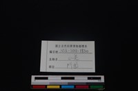 山羌骨藏品圖，第3張