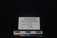 山羌骨藏品圖，第3張
