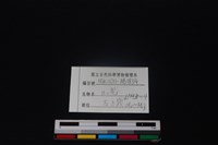 山羌骨藏品圖，第3張
