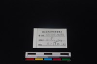 山羌骨藏品圖，第3張