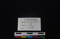 獐骨藏品圖，第3張
