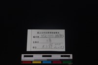 獐骨藏品圖，第4張