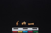 狗骨藏品圖，第2張