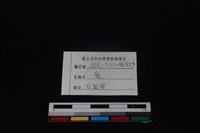 梅花鹿骨藏品圖，第3張