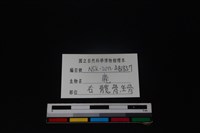 梅花鹿骨藏品圖，第3張