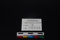 梅花鹿骨藏品圖，第3張