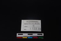 梅花鹿骨藏品圖，第3張