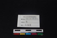 梅花鹿骨藏品圖，第4張