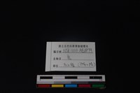 梅花鹿骨藏品圖，第3張