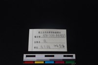 梅花鹿骨藏品圖，第4張
