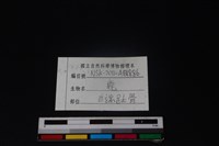 梅花鹿骨藏品圖，第3張