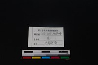 梅花鹿骨藏品圖，第3張