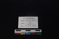 梅花鹿骨藏品圖，第3張