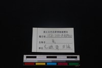 梅花鹿骨藏品圖，第3張