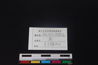 梅花鹿骨藏品圖，第4張