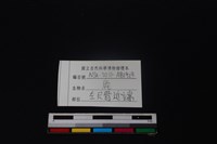 梅花鹿骨藏品圖，第3張
