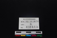 梅花鹿骨藏品圖，第3張