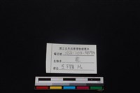 梅花鹿骨藏品圖，第3張