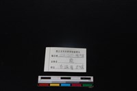 梅花鹿骨藏品圖，第3張