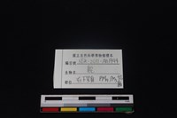 梅花鹿骨藏品圖，第4張