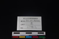 梅花鹿骨藏品圖，第3張