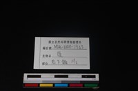 梅花鹿骨藏品圖，第4張