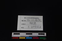 梅花鹿骨藏品圖，第3張
