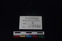 梅花鹿骨藏品圖，第3張